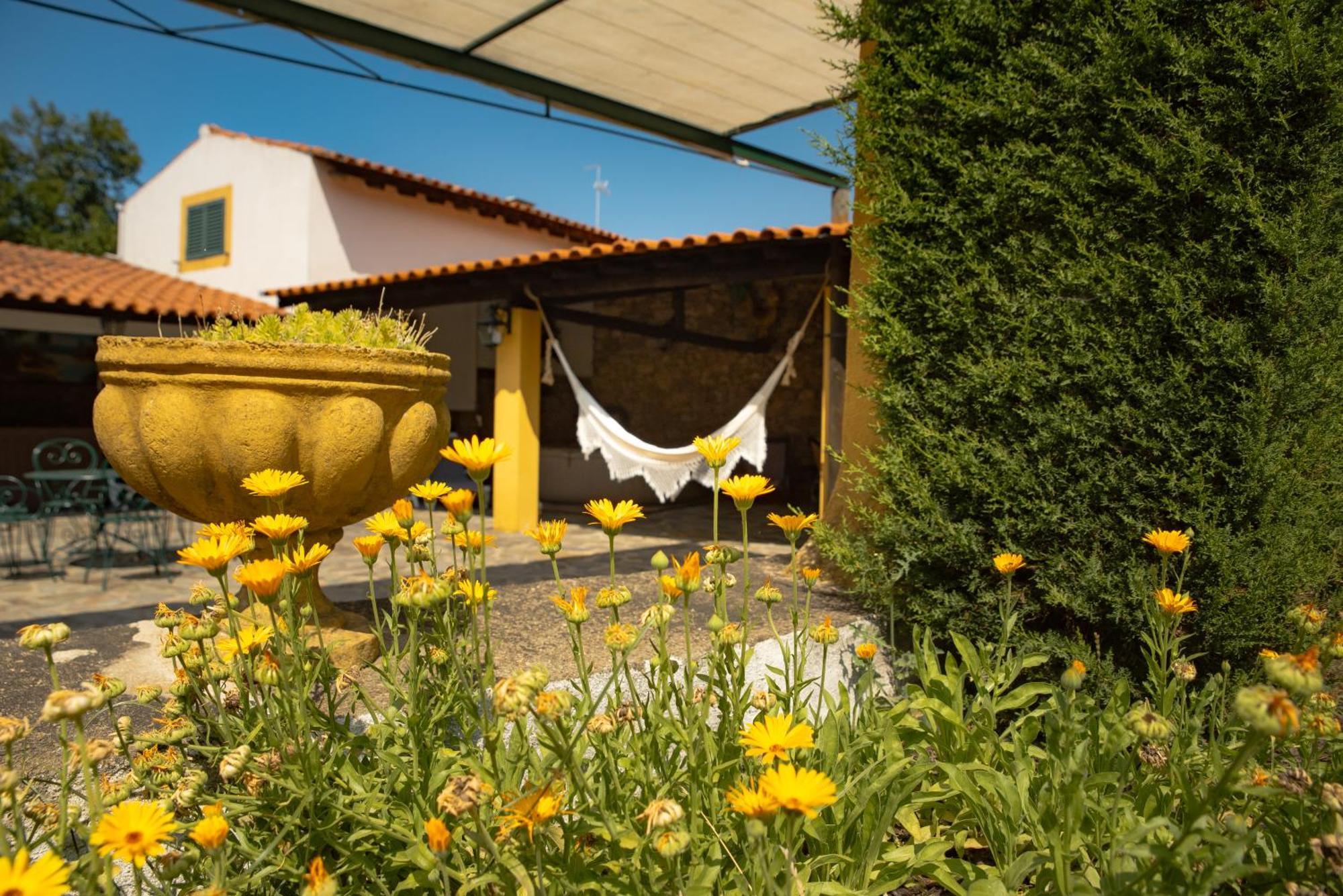 Holiday home A Sobreirinha Jacuzzi E Pet Friendly *